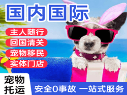 唐山航空运输国际宠物托运 【国